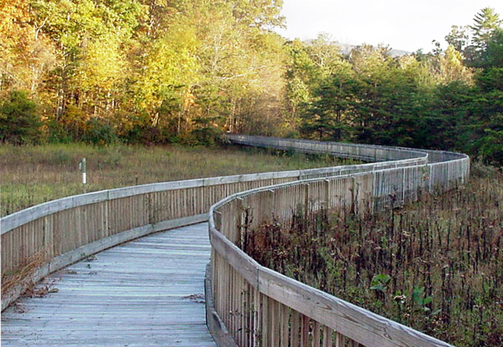 Augusta Springs Wetlands Trail - Rieley & Associates : Rieley & Associates